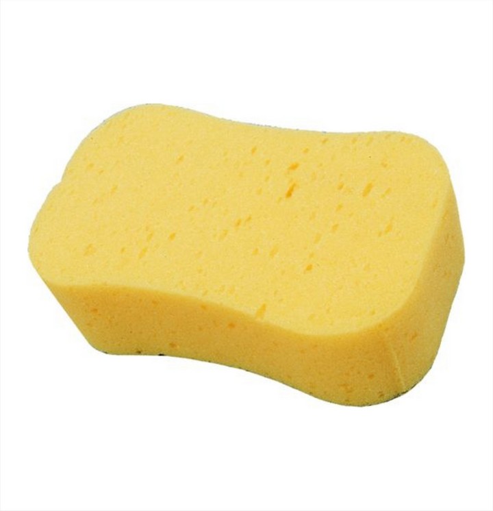 Jumbo Sponge